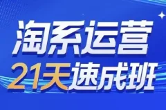 0基础淘系运营21天速成班