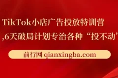 【精】TikTok小店广告投放特训营，6天破局计划专治各种“投不动”，教你经过月销百万验证的实战干货