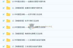 2025 陈潭飞 初三化学中考化学培训班 （春下·全国版·A+）