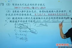 陈潭飞沪教版初三化学满分冲刺班