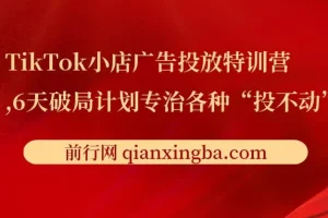 【精】TikTok小店广告投放特训营，6天破局计划专治各种“投不动”，教你经过月销百万验证的实战干货