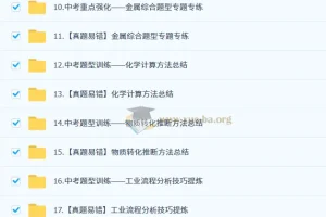 2025 陈潭飞 初三化学中考化学培训班 （春下·全国版·A+）