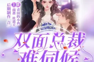 有声小说《双面总裁难伺候》 青田的小冉多人有声剧203集完结