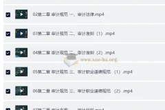 【高级审计师】25年高级审计师备考资料（教材+视频+讲义）