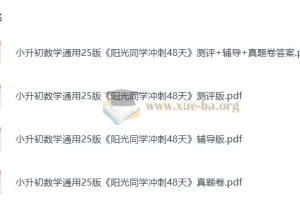 2025版小升初 阳光同学冲刺48天 小学数学