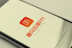 《赚钱认知》喜马拉雅 被下架节目集锦（9集全）