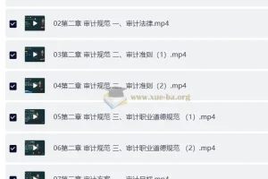 【高级审计师】25年高级审计师备考资料（教材+视频+讲义）