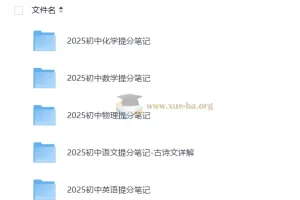 2025 张雪峰 提分笔记 初中语文数学英语物理化学