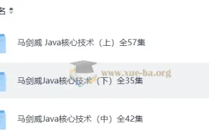 马剑威 Java核心技术