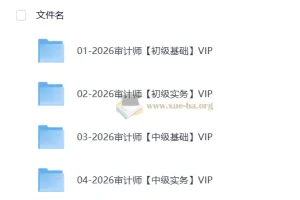 2026初中级审计