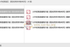 【2025小升初英语】 阳光同学冲刺48天