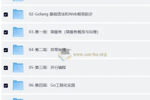 Go进阶训练营 – 4期 – 带源码课件
