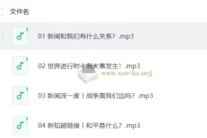 凯叔-少年参考