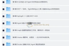 多 Agent+Skills+SpringAI 构建自主决策智能体（前11章）
