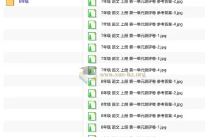 王朝霞测评卷一单元初中语文25年上册78