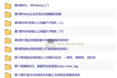 Netty+SpringBoot开发即时通讯系统 无秘 15章 完结