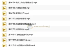 短视频+直播带货实操课，基础、运营、技能综合实操课（90节）