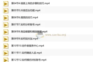 短视频+直播带货实操课，基础、运营、技能综合实操课（90节）