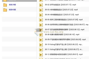 老陈聊跨境·亚马逊实操通关训练营