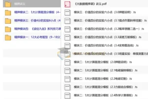 睿叔物理•绝密大数据精押