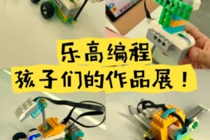 【乐高编程】培训班价值四五千的青少年乐高课程合集98G