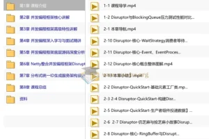 Java并发编程高阶技术-高性能并发框架源码解析与实战