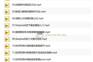 抖音运营与AI视频制作实战课程