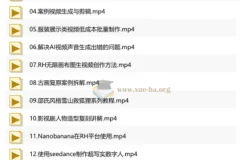 AI视频实战落地全流程课程｜零基础精通多平台AI创作，覆盖带货、广告、数字人、剧情短片，解锁副业接单新收入