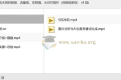 AI制作流水招财视频，流量高，变现强，小白可操作（保姆级教程）