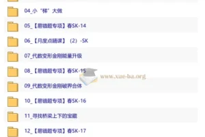 【2026初二春下】数理思维自主学习·SK-王丁玉