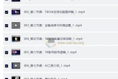 TikTok跨境出海全链路实战课