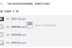26年AI全自动电商，保底日入500+