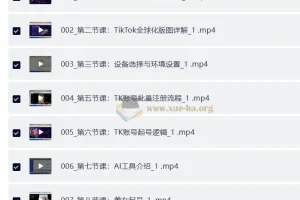 TikTok跨境出海全链路实战课