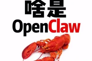 OpenClaw完整安装教程：一步到位，小白也能轻松上手