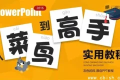 从入门到精通：PPT实用进阶教程