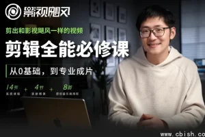剪辑全能必修课 从0基础到专业成片 视频剪辑全流程教学 全套教程打包下载