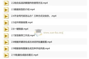 热门Ai资源教程 coze扣子从入门到实战 快速掌握AI工作流搭建