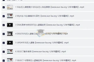 MySQL高级黑客 MySQL注入攻防技术内幕-第一部分视频课程