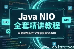 Java NIO全套精讲教程下载（完整涵盖BIO NIO AIO原理对比与NIO API源码解析）