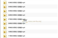 倪海厦-人纪-神农本草经字幕版
