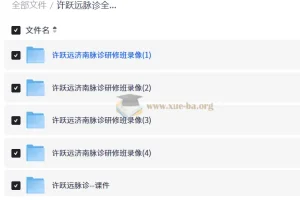 许跃远脉诊全集｜2025脉学大师课程（24集视频+脉象图解+诊断技巧）
