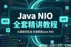 Java NIO全套精讲教程下载（完整涵盖BIO NIO AIO原理对比与NIO API源码解析）