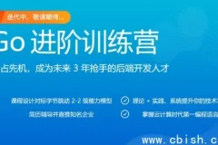 Go进阶训练营（含源码与课件）