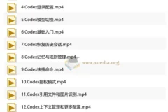 AI Codex 企业级应用实战