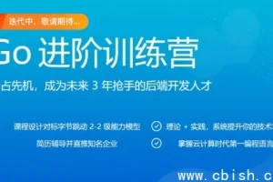 Go进阶训练营（含源码与课件）