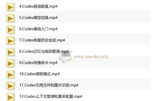 AI Codex 企业级应用实战