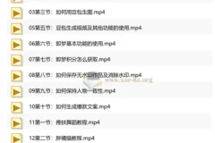 零基础AI短视频全能精品课