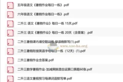 小学各年级暑假作业合集