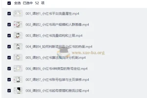 AI做小红书矩阵推广系统