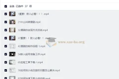 AI漫剧制作全流程实操 0基础从零入门